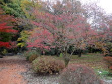 勝沼複合資料写真です