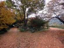 勝沼複合資料写真です