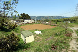 相模湖空き地5の写真です　一年中いろいろと野菜を育てています