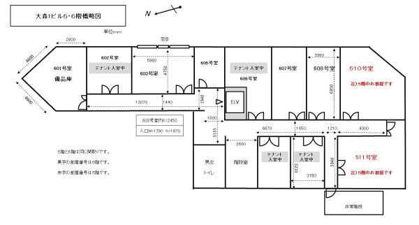 大森１ビル　5・6階間取り図です